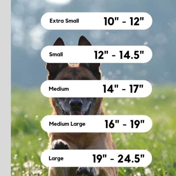 Max and Neo Stainless Steel Chain Reflective Nylon Martingale Collar - Picture 7 of 9